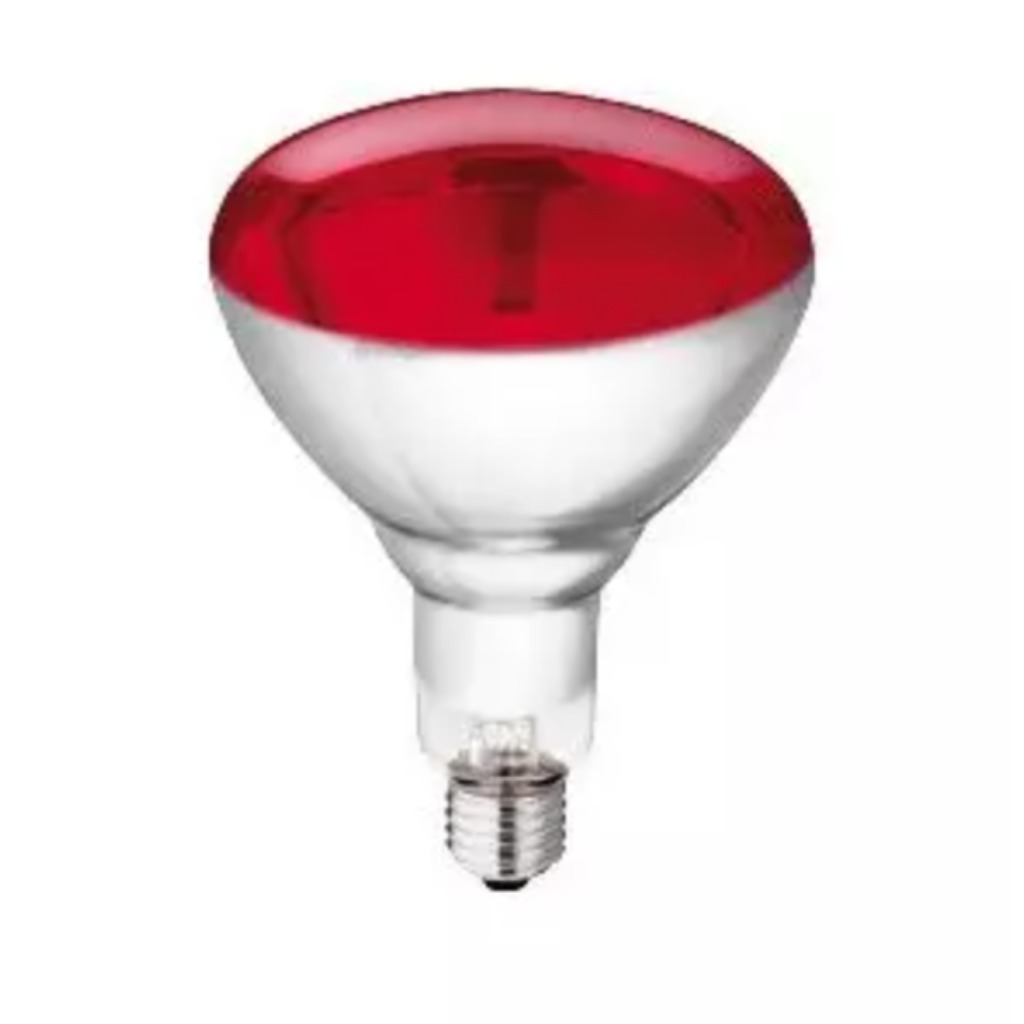 Ampoule chauffante Philips 250 watts