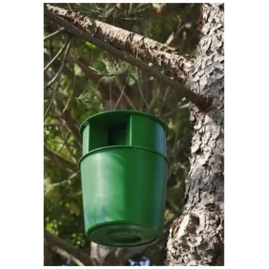 Cube piège à chenilles processionnaires du pin PROCEREX®