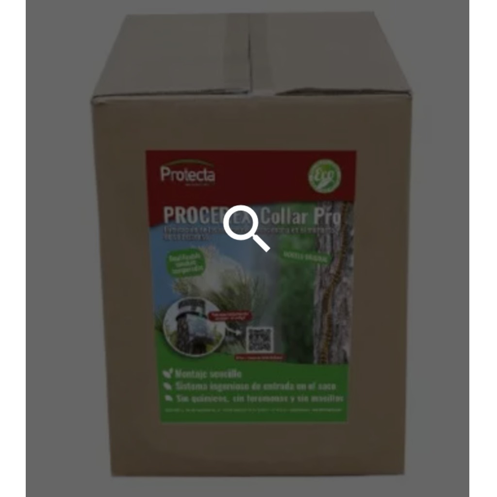 Obroża Procerex Pro dla gąsienic procesyjnych - Opakowanie 10 sztuk