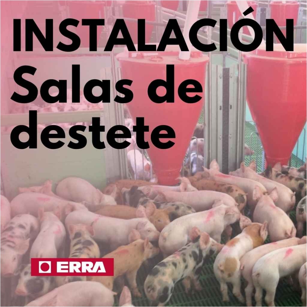 Installations de sevrage ERRA