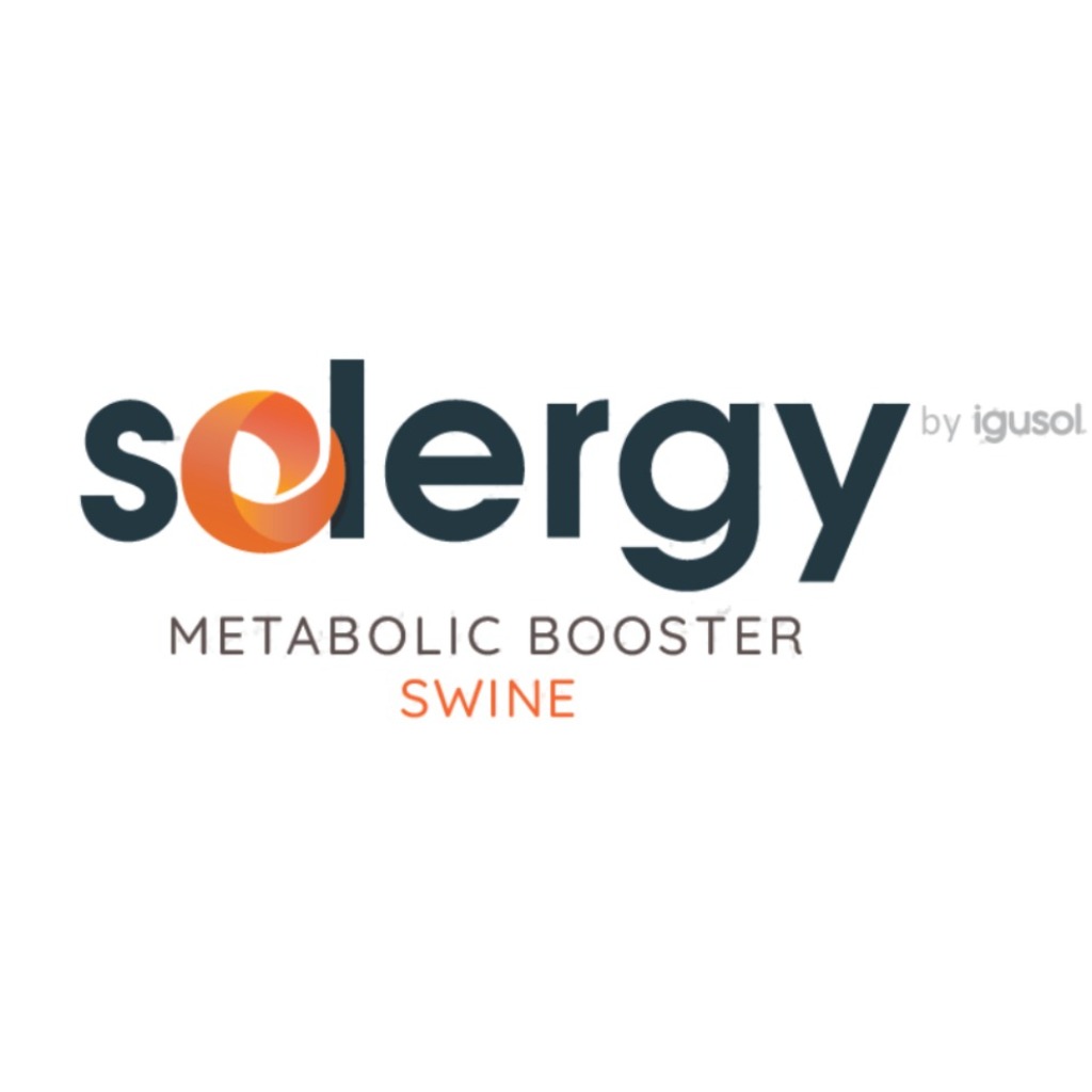 SOLERGY