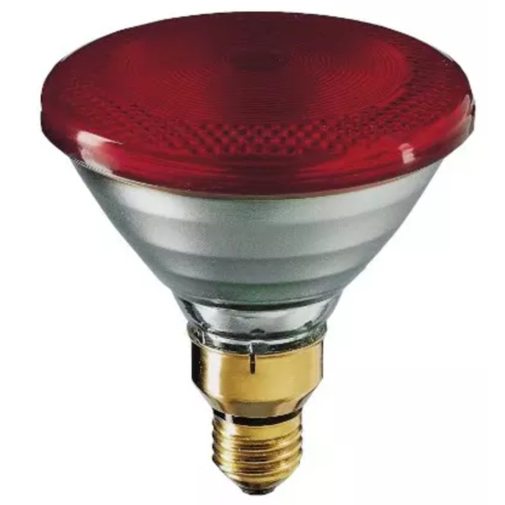 Philips PAR 175 Watts Infrared Bulb 1 unit