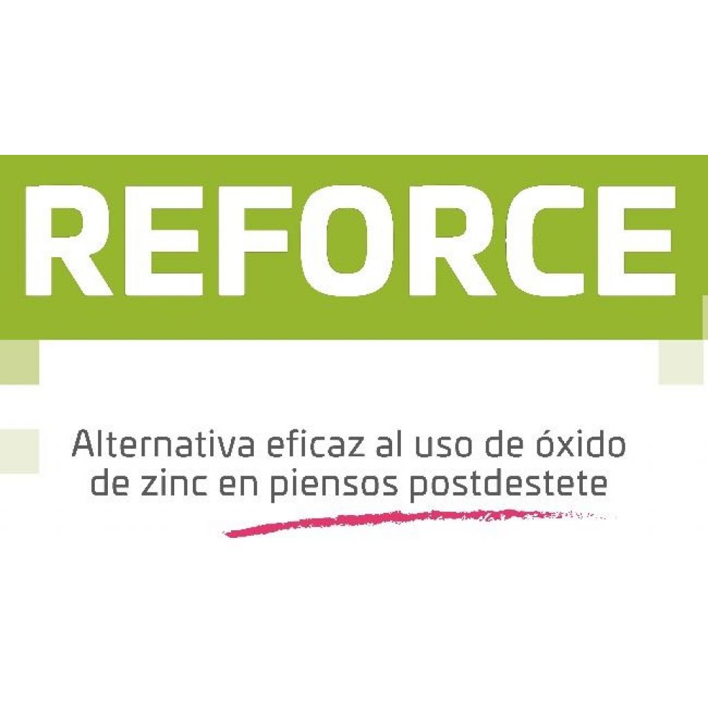 INGASO REFORCE 