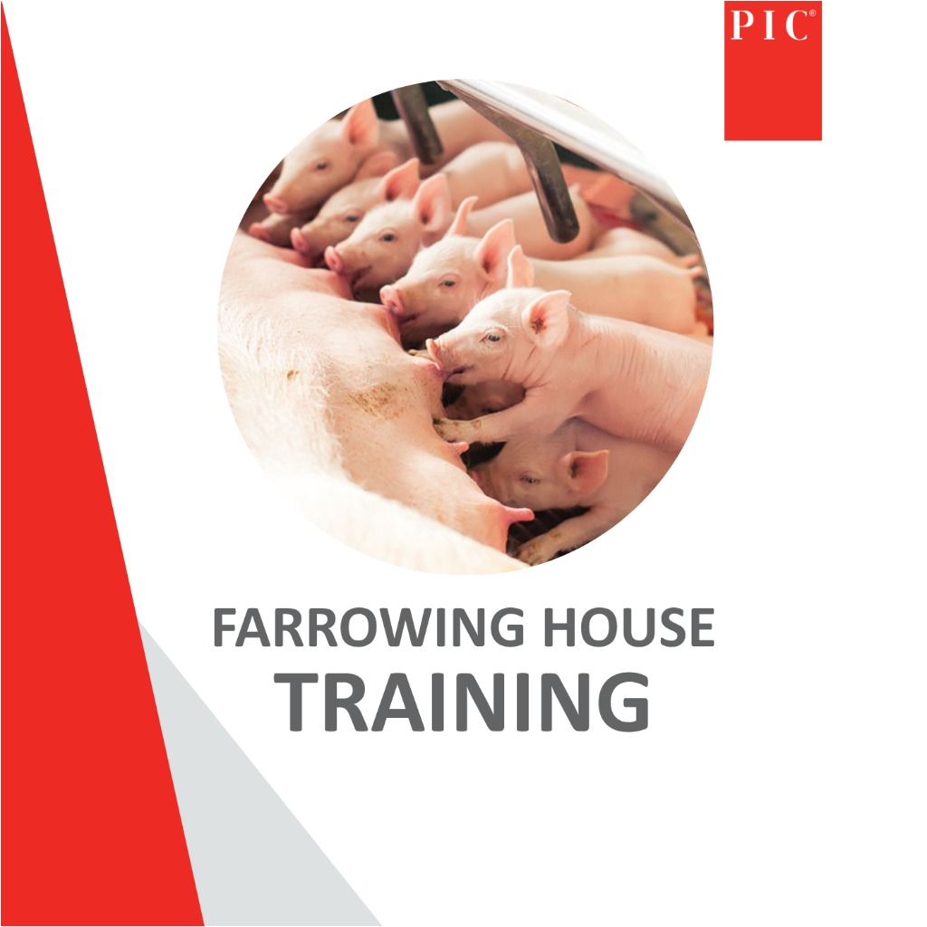 ONLINE Farrowing House Training - 25 March 2026