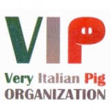 Vip Organization